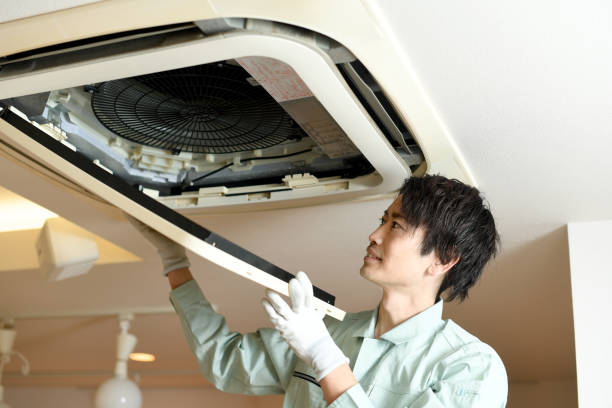 Best HVAC System Cleaning  in Beecher, IL