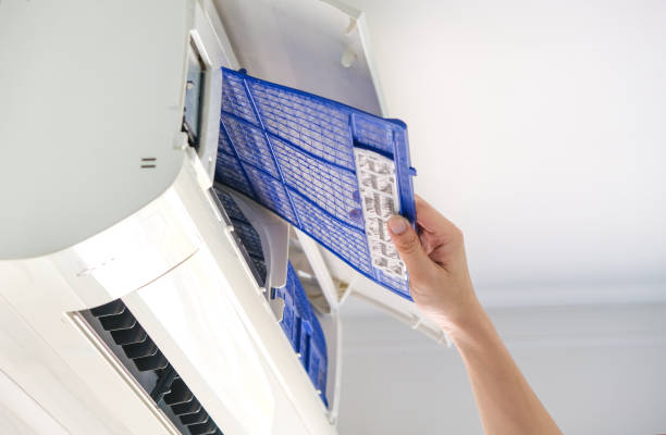 Best Home Air Vent Cleaning  in Beecher, IL